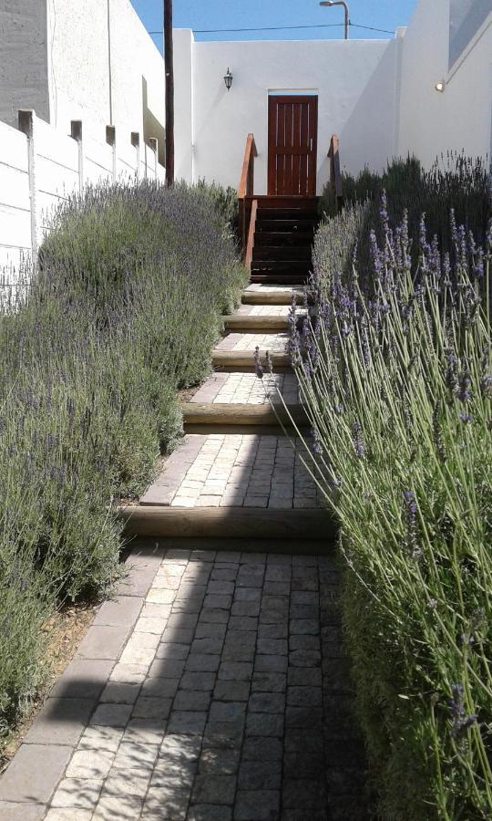 Lavandula Manor Self-Catering موسيلباي المظهر الخارجي الصورة